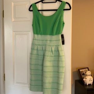 Never worn New York and company dress